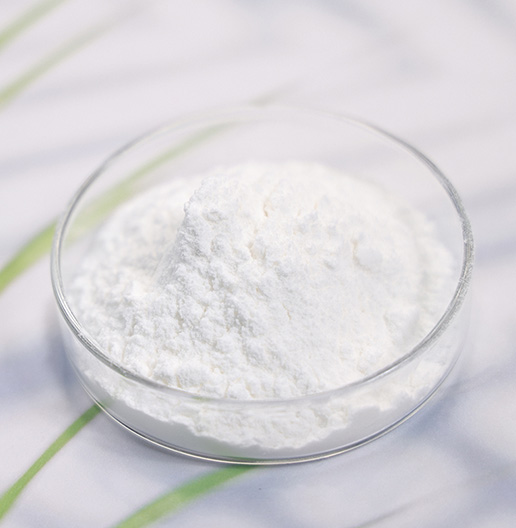 White Vinegar Powder