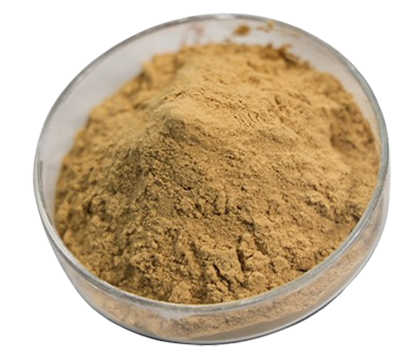 6%–10%-Mature-Vinegar-Powder