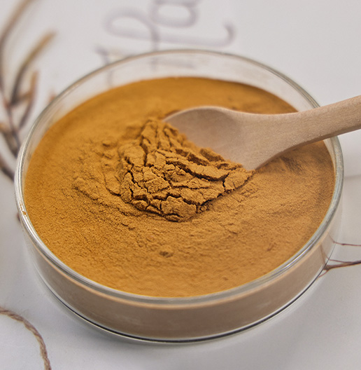 Soy Sauce Powder