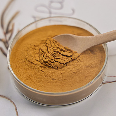 Soy Sauce Powder